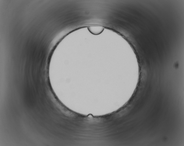 X0000115711469200912241533