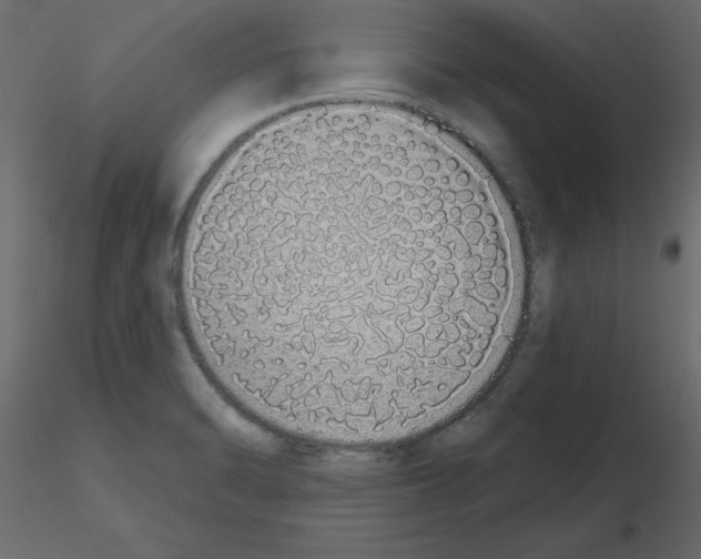 X0000115711470200912241533