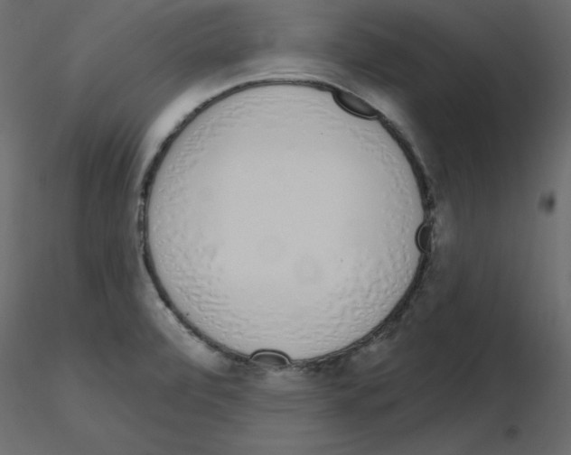 X0000115711472200912241533