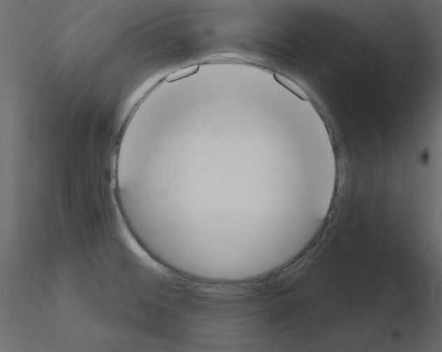 X0000115711476200912241533