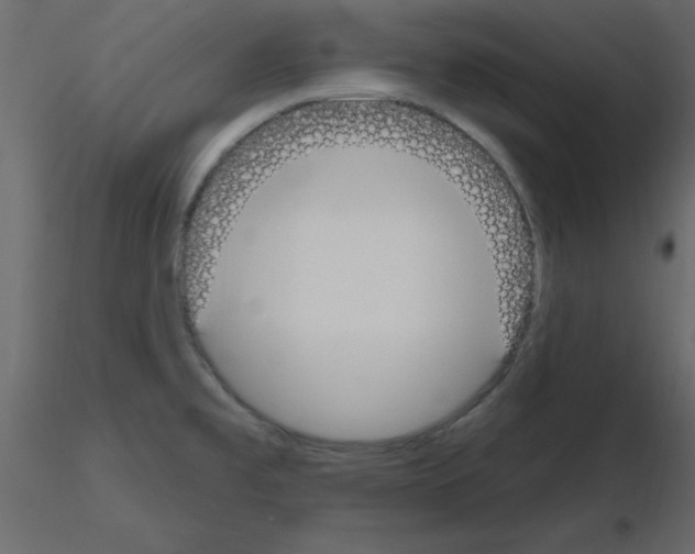 X0000115711477200912241533