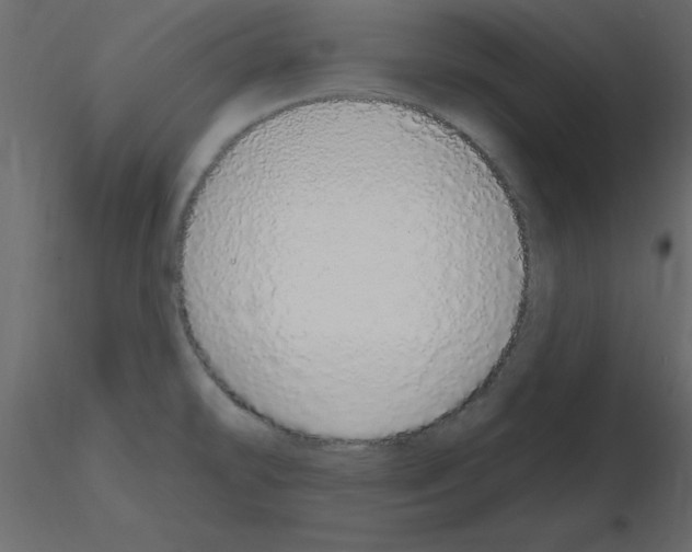 X0000115711478200912241533