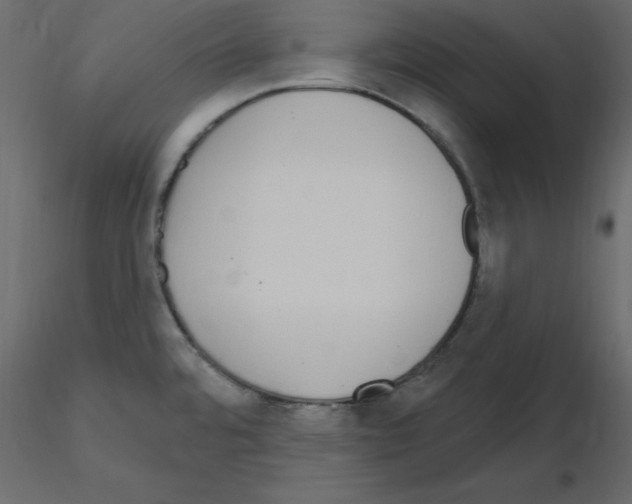 X0000115711480200912241533