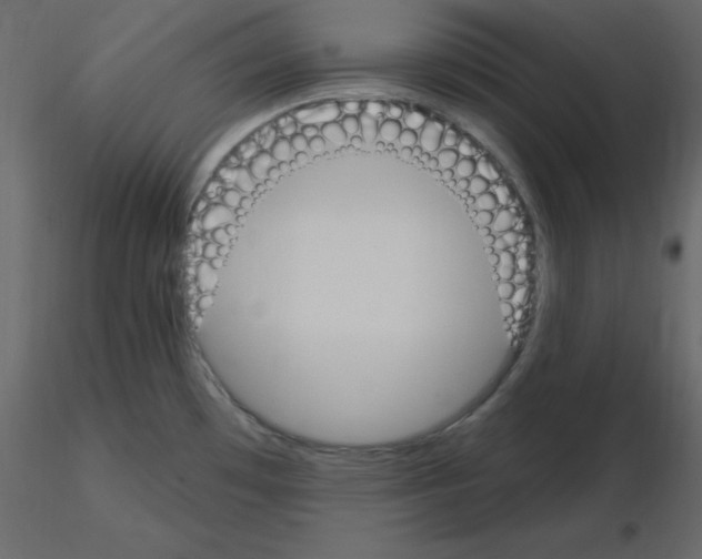 X0000115711481200912241533