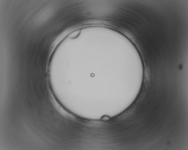 X0000115711482200912241533