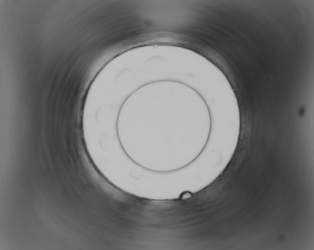 X0000115711483200912241533