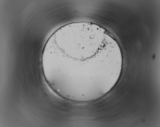 X0000115711484200912241533