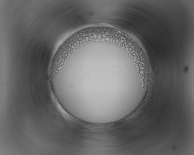 X0000115711485200912241533