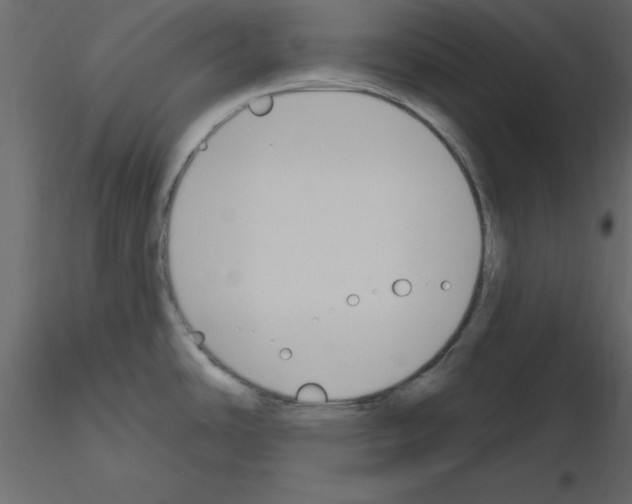 X0000115711486200912241533