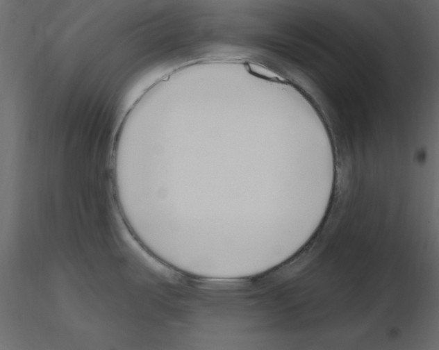 X0000115711487200912241533