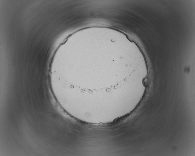 X0000115711488200912241533