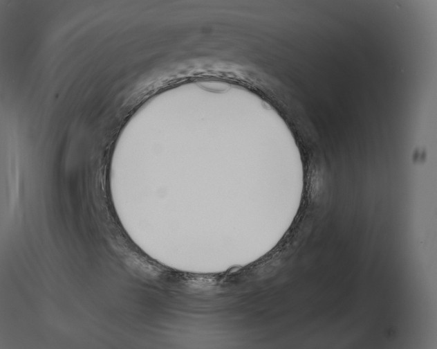 X0000115711489200912241532