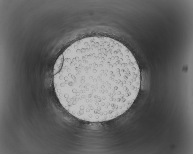 X0000115711491200912241532