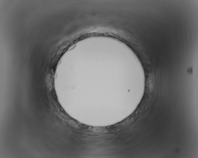 X0000115711493200912241533