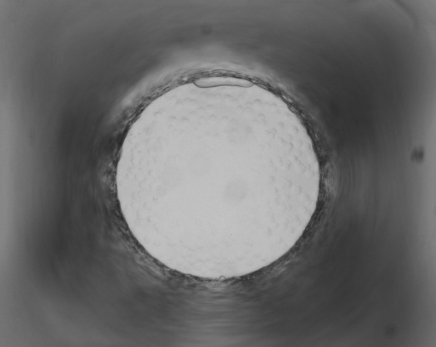 X0000115711495200912241533