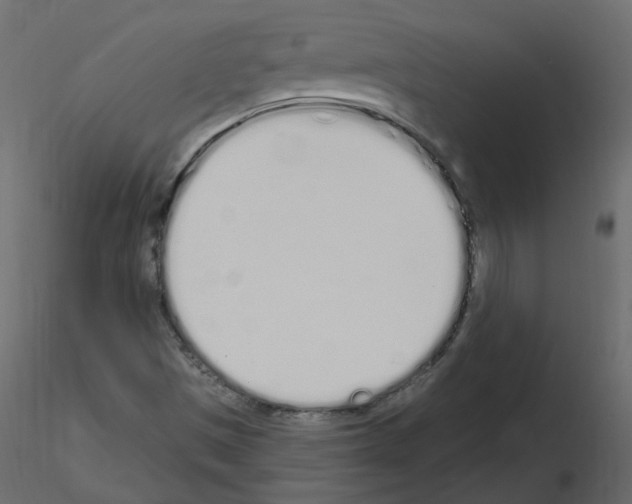 X0000115711497200912241533