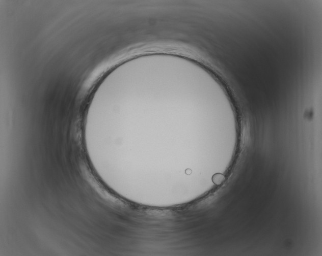 X0000115711498200912241533