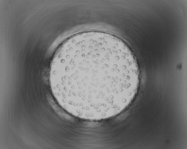 X0000115711499200912241533