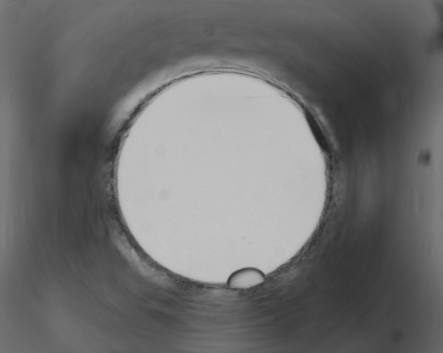 X0000115711503200912241533