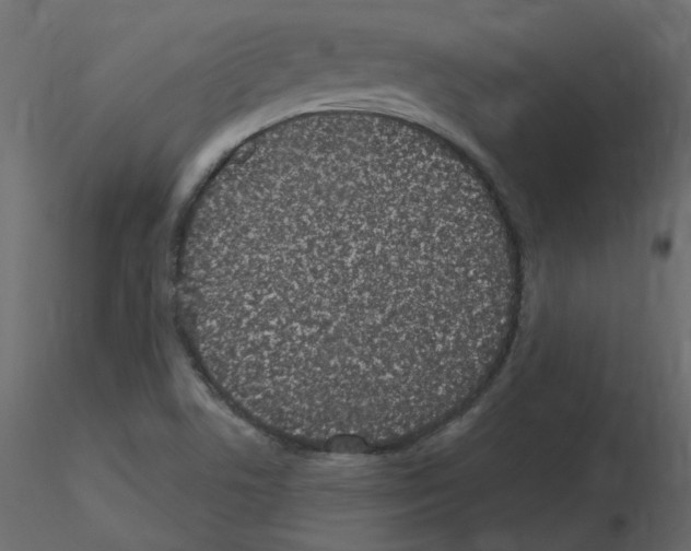 X0000115711506200912241533