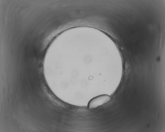 X0000115711507200912241533