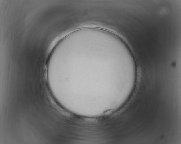 X0000115711509200912241533