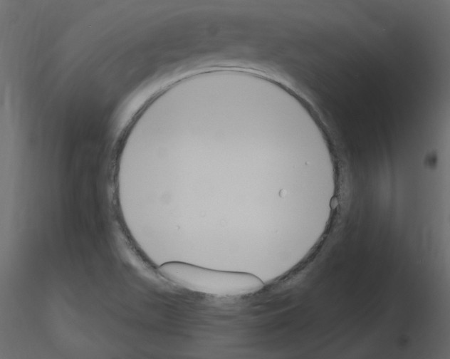 X0000115711511200912241533