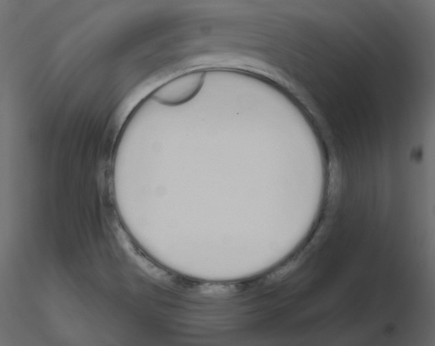 X0000115711513200912241533