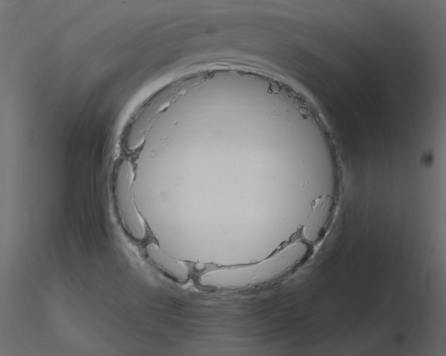 X0000115711514200912241533