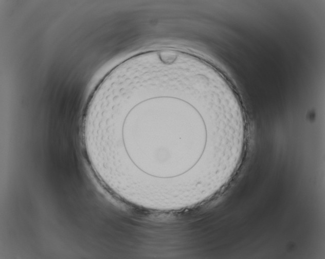 X0000115711517200912241533