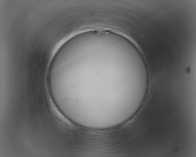 X0000115711518200912241533