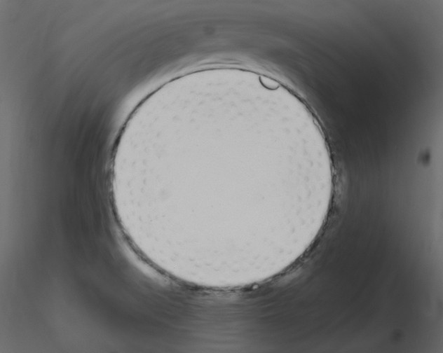 X0000115711519200912241533