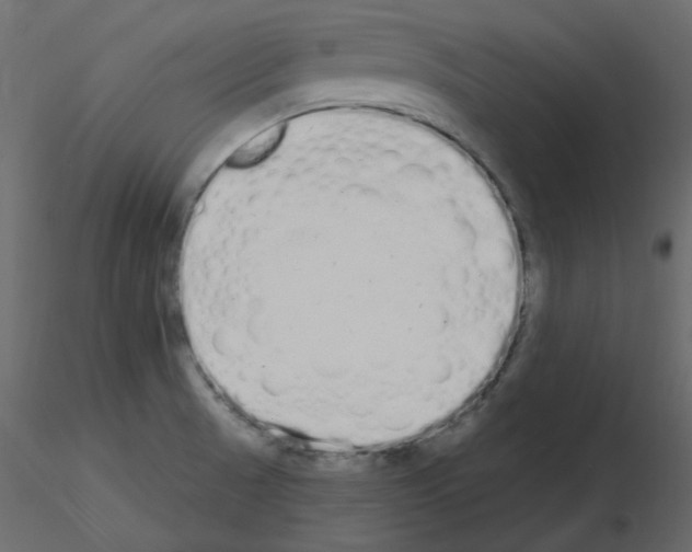 X0000115711521200912241533