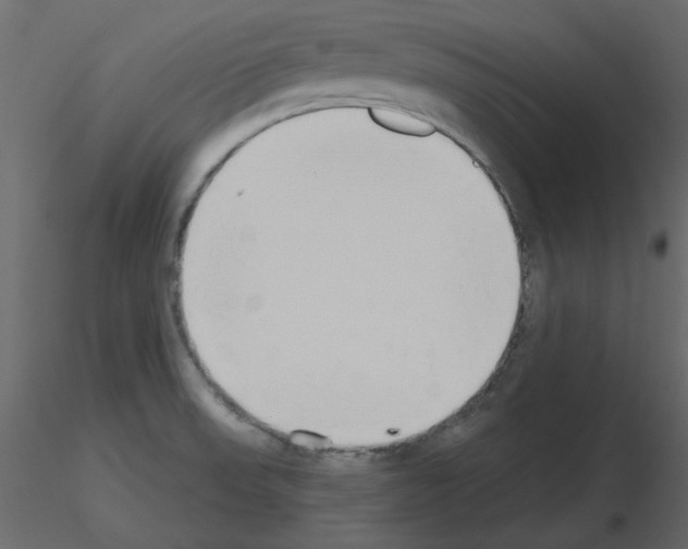 X0000115711523200912241533