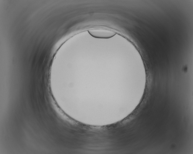 X0000115711526200912241533