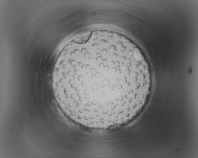 X0000115711529200912241533