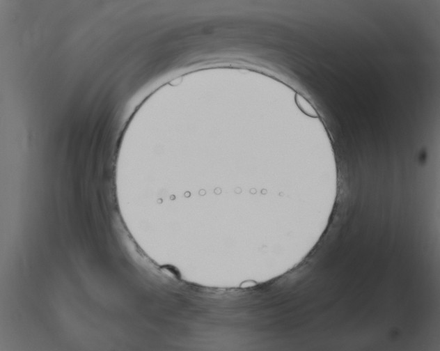 X0000115711534200912241533