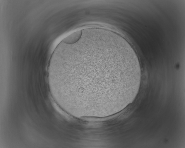 X0000115711535200912241533