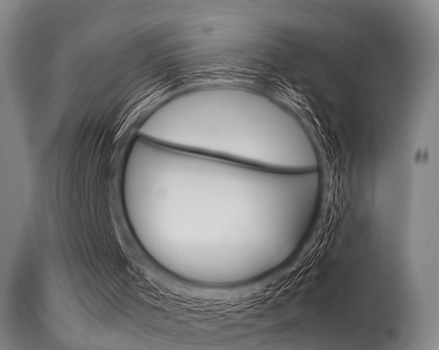 X0000115720001200911121114