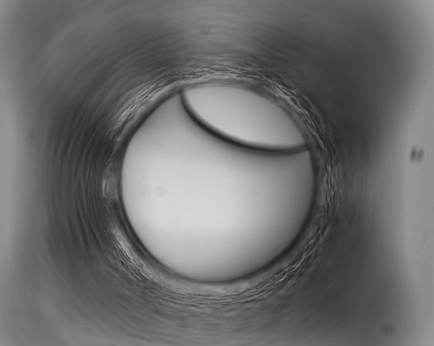 X0000115720002200911121114