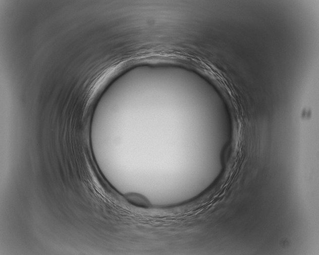 X0000115720003200911121114