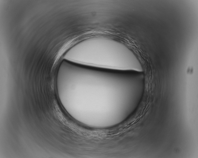 X0000115720004200911121114