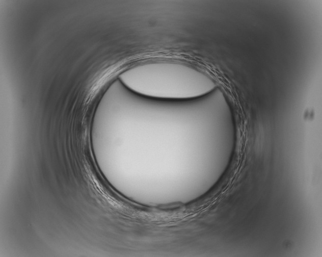 X0000115720005200911121114