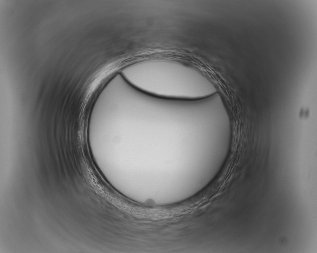X0000115720006200911121114