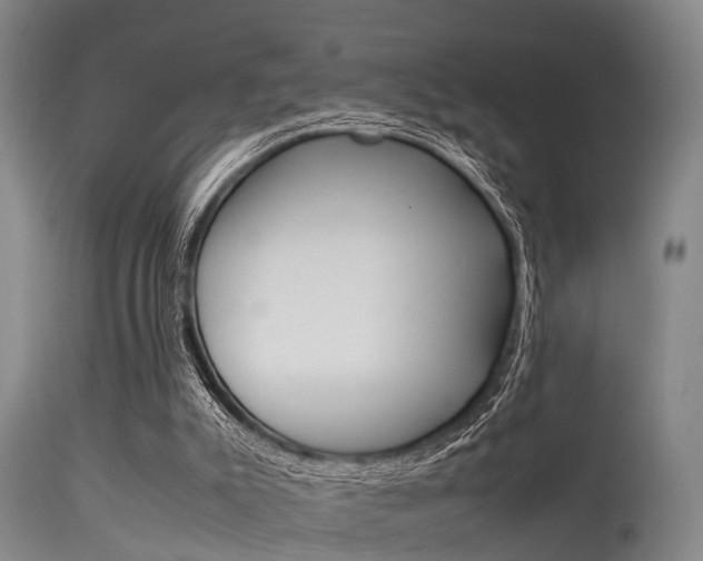 X0000115720007200911121114