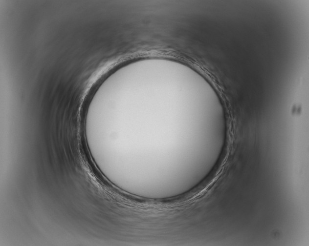X0000115720008200911121114