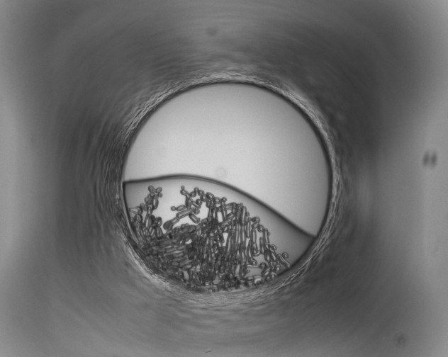 X0000115720009200911121114