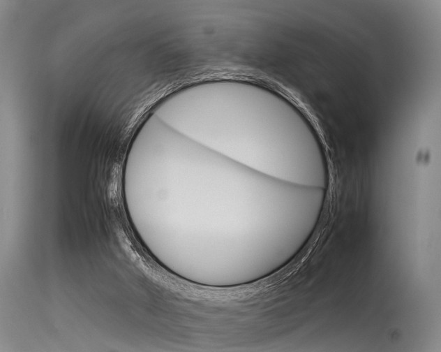 X0000115720010200911121114