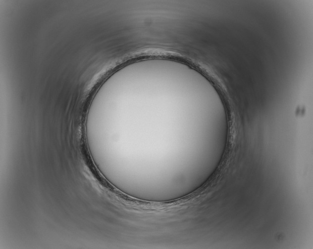 X0000115720015200911121114