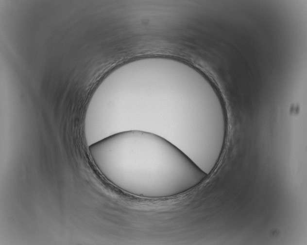 X0000115720017200911121114